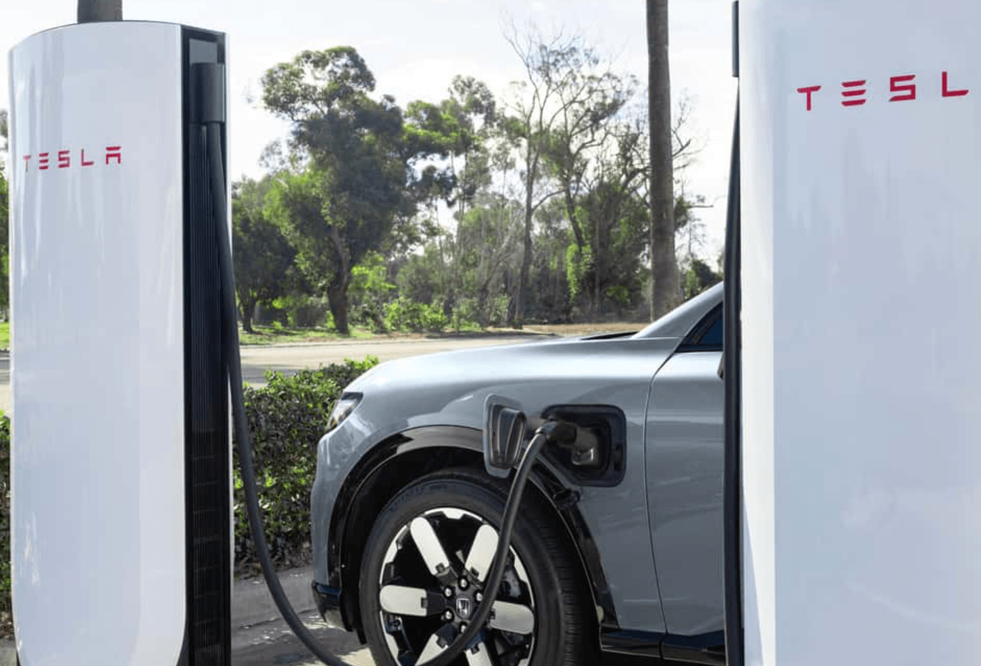 2026 테슬라 모델 Y 가격 인상 전 마지막 기회 | AWD 5999만원 즉시 출고 선착순 15대 총정리 관련 40가지 사진 줘